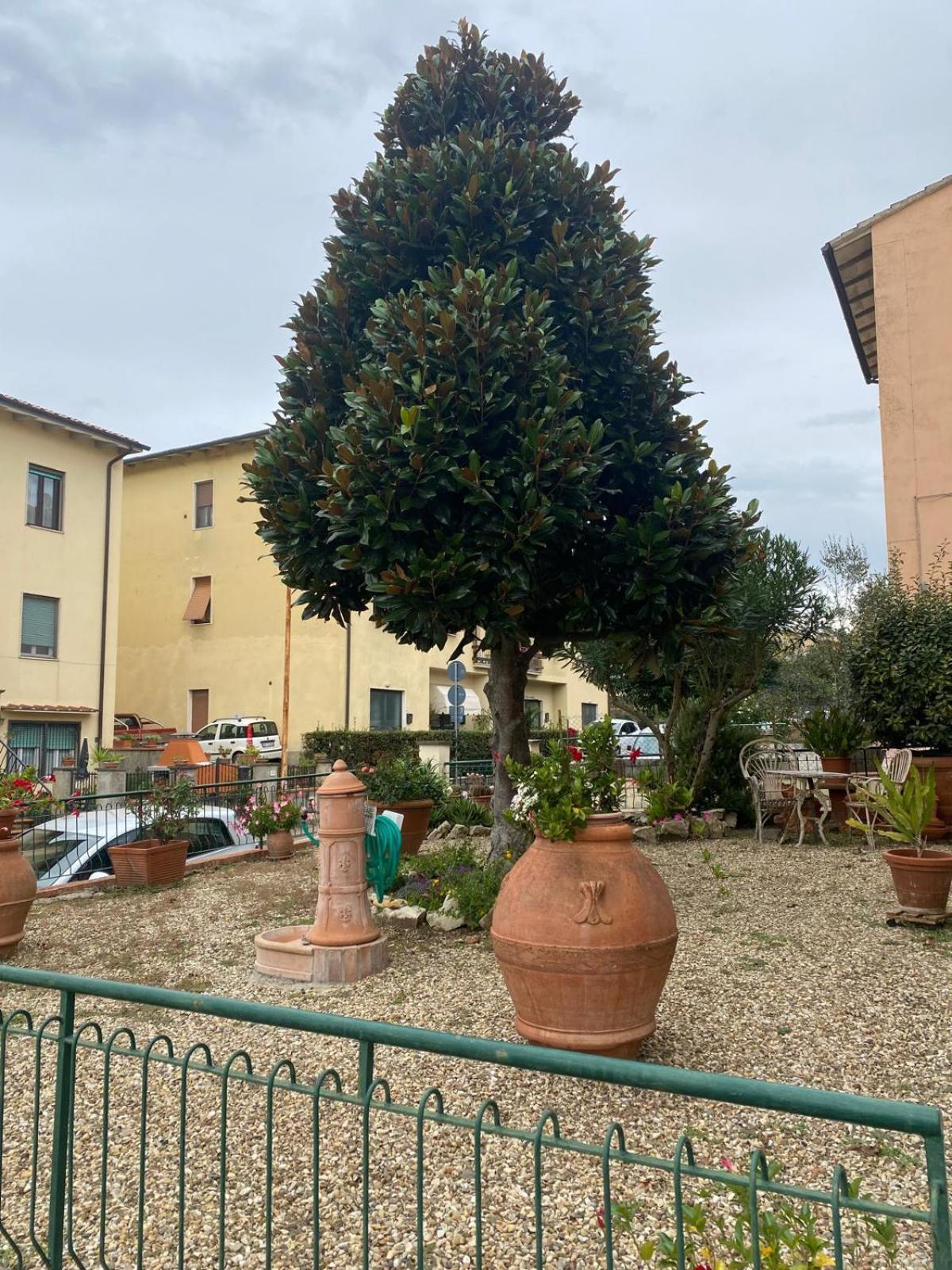 Appartamento Magnolia Mercatale Val Di Pesa Zewnętrze zdjęcie
