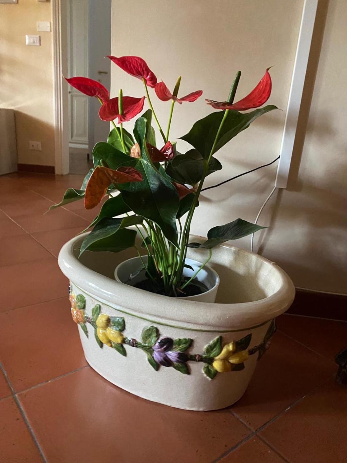 Appartamento Magnolia Mercatale Val Di Pesa Zewnętrze zdjęcie